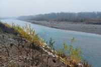 Taro, sopralluogo Priolo, dicembre 2022, fontevivo, vista sul fiume, recupero ambientale