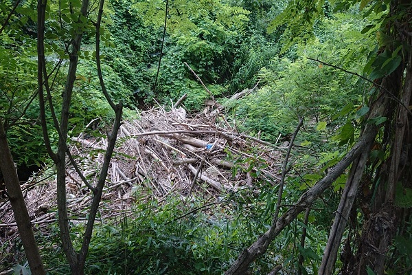 Pulizia torrente Chiavenna a Cadeo