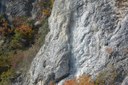 parete rocciosa Torriana, particolare