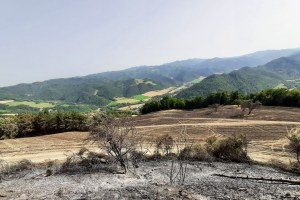 incendio Monte Romano, panoramica