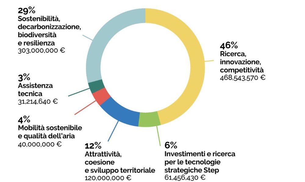Visualizzazione grafica della distribuzione delle risorse riportata anche nel testo